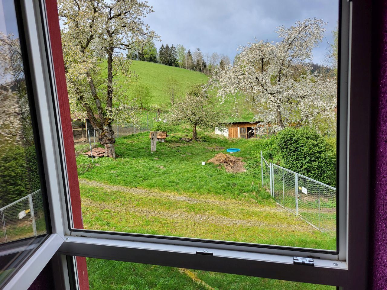 FEWO Wallenfels Ausblick EG